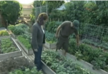 Na Zemljištu Od 4 Ara Su Se Obogatili – Evo U Čemu Je Tajna, Može Svako Da Uradi Ko Dvorište Ima