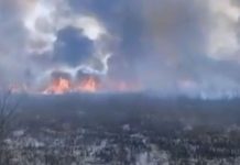 Crnim Dim Prekrio Sve, Požar Guta Sve Pred Sobom – Vatrogasci Se Bore Protiv Ove Vatrene Stihije (Video)