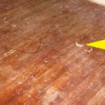 Svekrva Mi Je Pokazala Kako Očistiti Parket Sa Tri Sastojka – Sad Mi Parket Izgleda Kao Nov, Čistim Ga Tri Puta Manje Nego Što Sam Do Sad Radila