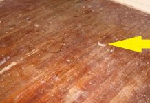 Svekrva Mi Je Pokazala Kako Očistiti Parket Sa Tri Sastojka – Sad Mi Parket Izgleda Kao Nov, Čistim Ga Tri Puta Manje Nego Što Sam Do Sad Radila