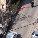 Jednu stariju gospođu su snimili kako je u Srbiji bježala od nekoga: Kada su vidjeli ko je iza nje jeza ih prošla!