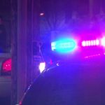 SVE su izgorile, policajci PLAKALI KO KIŠA kad su došli na uviđaj: Kada vidite zašto, I VI ĆETE