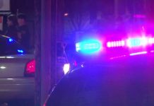 SVE su izgorile, policajci PLAKALI KO KIŠA kad su došli na uviđaj: Kada vidite zašto, I VI ĆETE