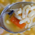 ODVRATNA ISTINA ZA KOJU NISTE SPREMNI: Evo što se zapravo događa kad vam muha sleti na hranu