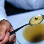 ZNATE LI ŠTA SE DEŠAVA KAD MUHA SLETI NA HRANU, NA OVU ISTINU NISTE SPREMNI: Mnogi su zgroženi, NISMO ZNALI DA JE OVAKO LOŠE