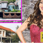 Glumi gradsku damu, a ono… PRVI PUT VIĐENO! Cecine kuće u Žitorađi, u dvorištu 2 krmka zavezana za šljivu…ovce pasu oko traktora!(FOTO)