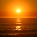 Leo – One of These 3 Signs Could Confess Their Feelings to You – content image
