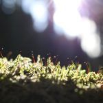 Blizanci: VELIKI KARMIČKI HOROSKOP DO KRAJA NEDELJE: SUZA ZA SUZOM, ŠOK ZA ŠOKOM I IZNENAĐENJE ZA IZNENAĐENJEM, dani koji predstoje donose SUĐENO I BEŽANJA NEMA, evo zašto ništa ne ostaje isto! – content image